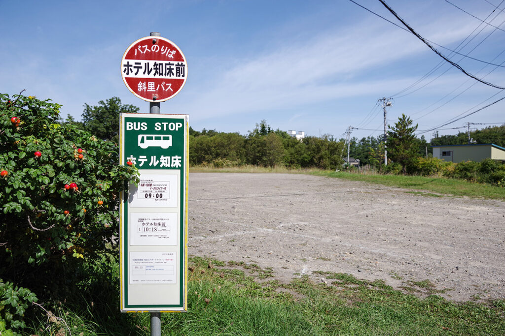 半日を定期観光バスに充てる一つの答え