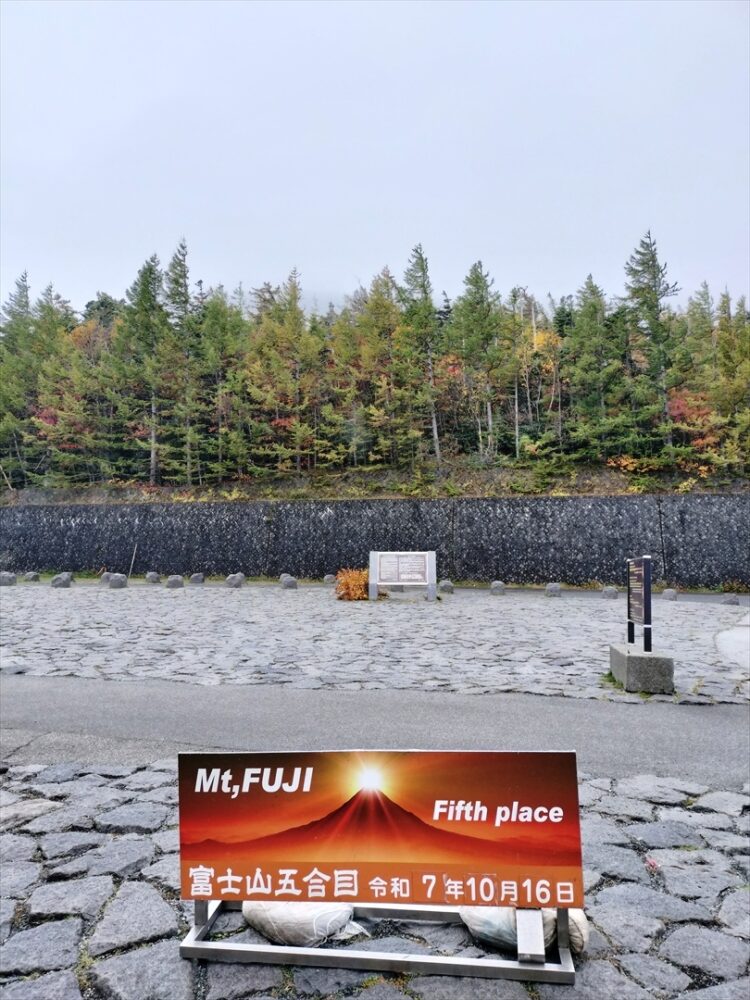 【令和7年11月のバス占い付き】新宿からバスで乗り換えなし(季節限定)のパワスポ! でも敷居が高い!?