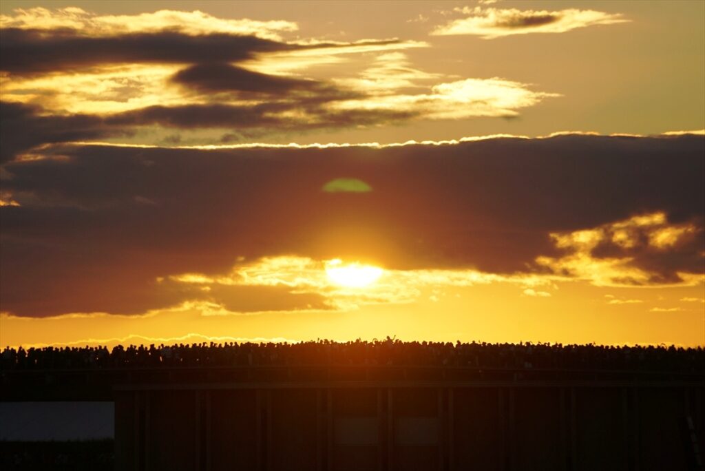 日が落ちると帰宅ラッシュが始まるのは社会一般と同じ?