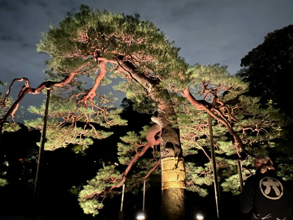 さまざまな楽しみ方を提供するはとバスツアー