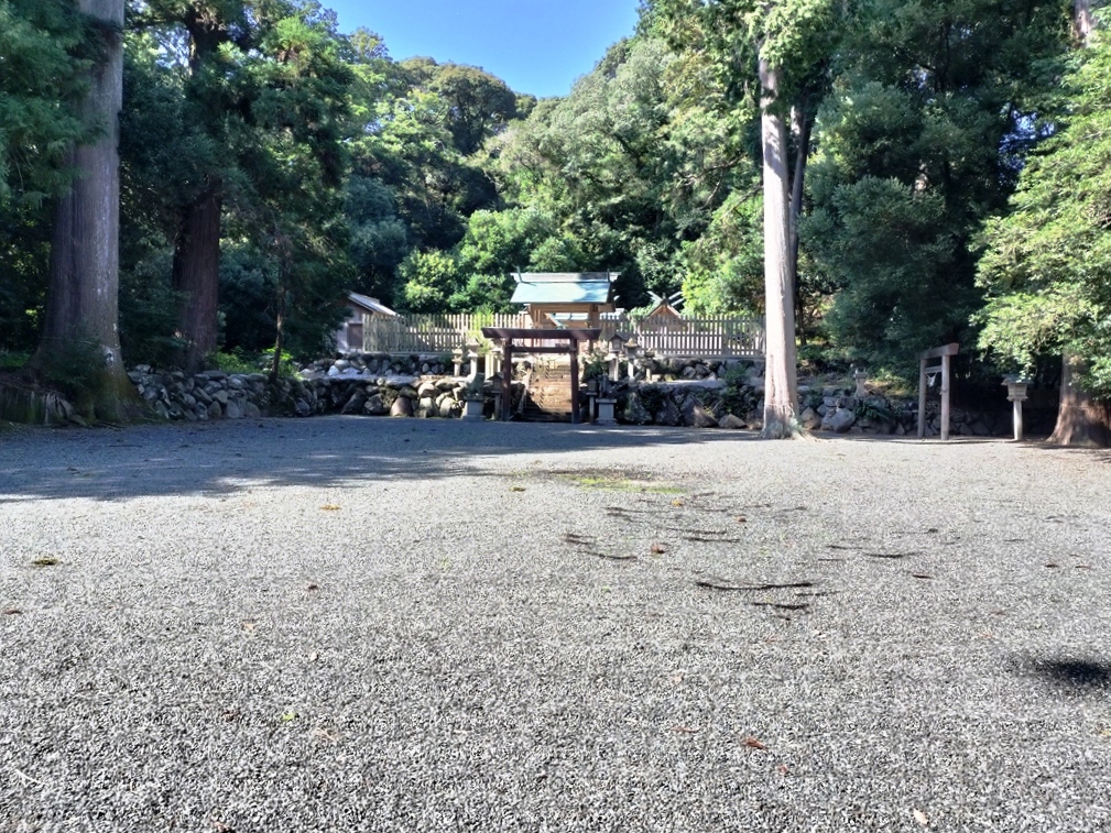 参道を抜けると突如現れる御神木に囲まれた空間