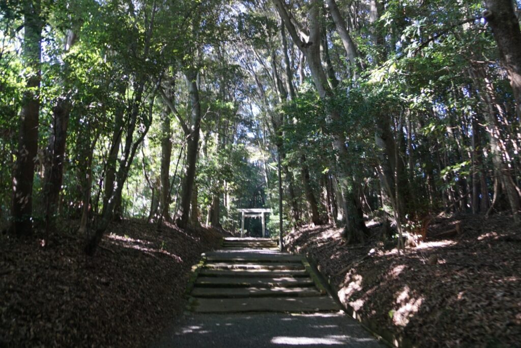 大阿坂町の阿射加神社参道もなかなかの雰囲気