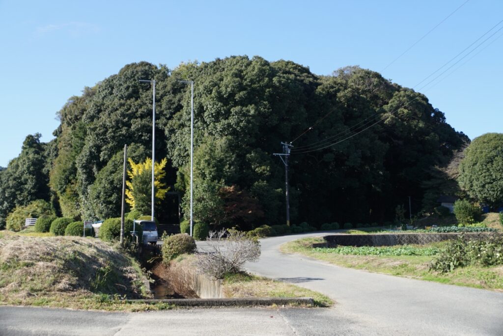 突然に森が現れるとそこは昔からの神社がある可能性が高い