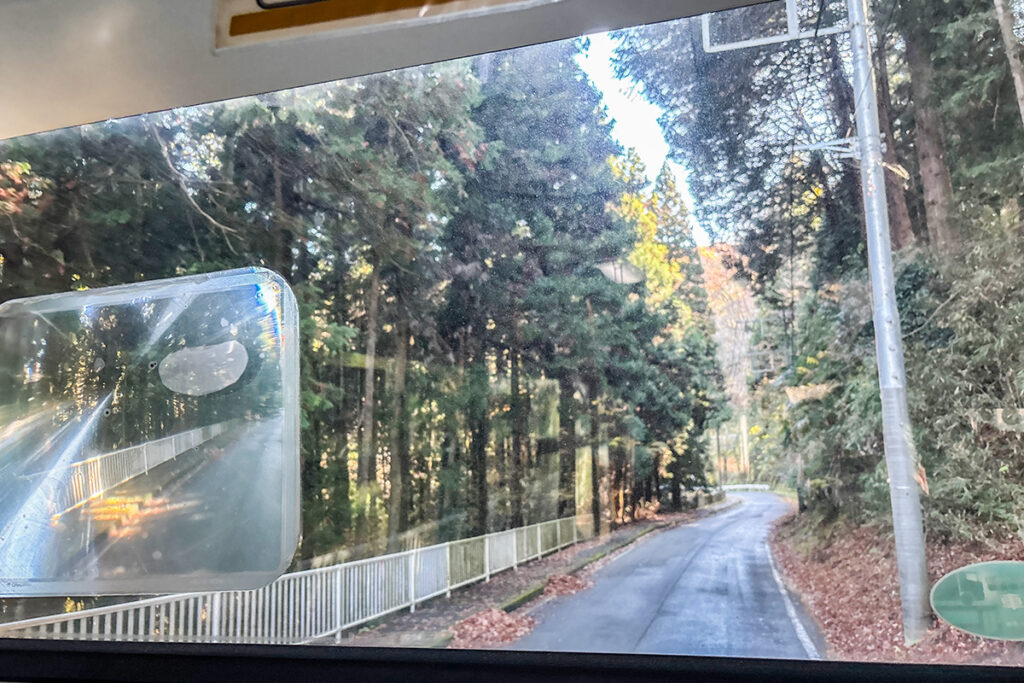 狭いところが好き