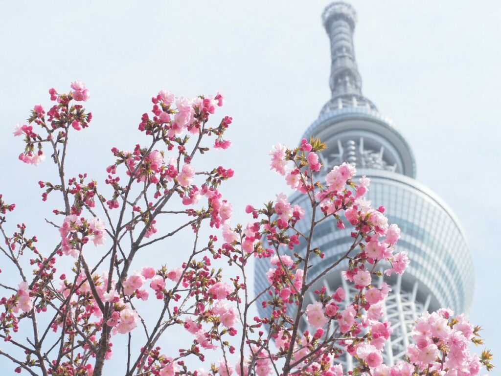 スカイツリーは近ければ近いほど撮影が難しくなっていく
