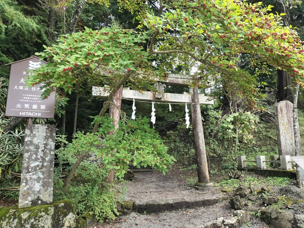 突然現れる小さな鳥居