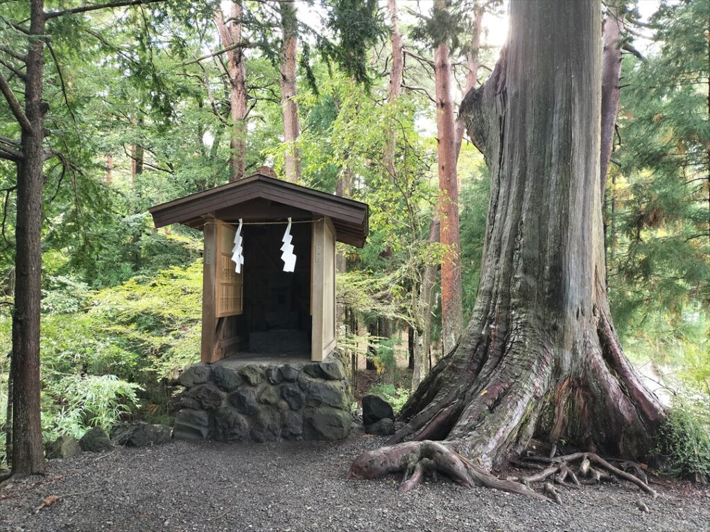 小さな祠が大塚丘社