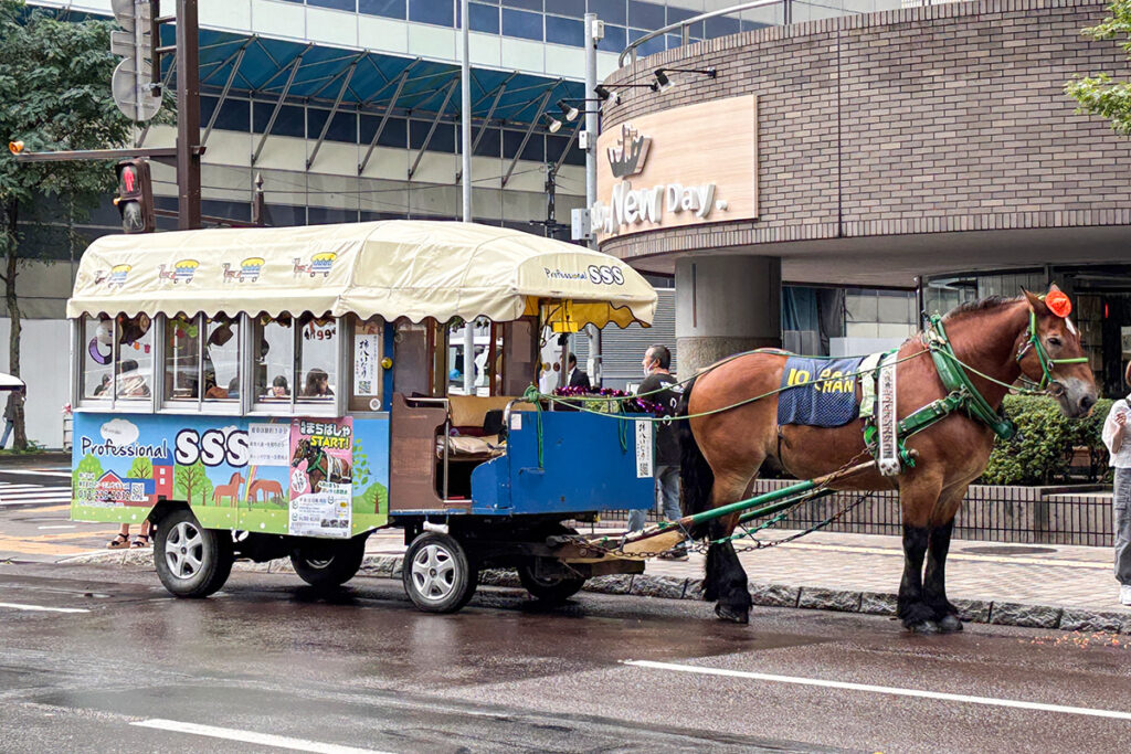 2025年を生きる現代の馬車。今はもっぱら馬車＝観光／アトラクション向けといった感じ（写真：中山修一）