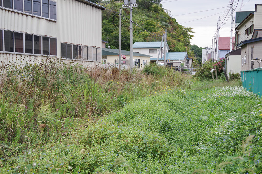 浦河駅跡を背後に踏切跡から様似方面の線路跡を眺める