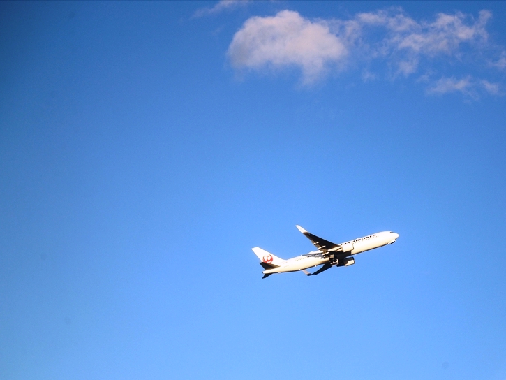 JAL機が飛ぶ！