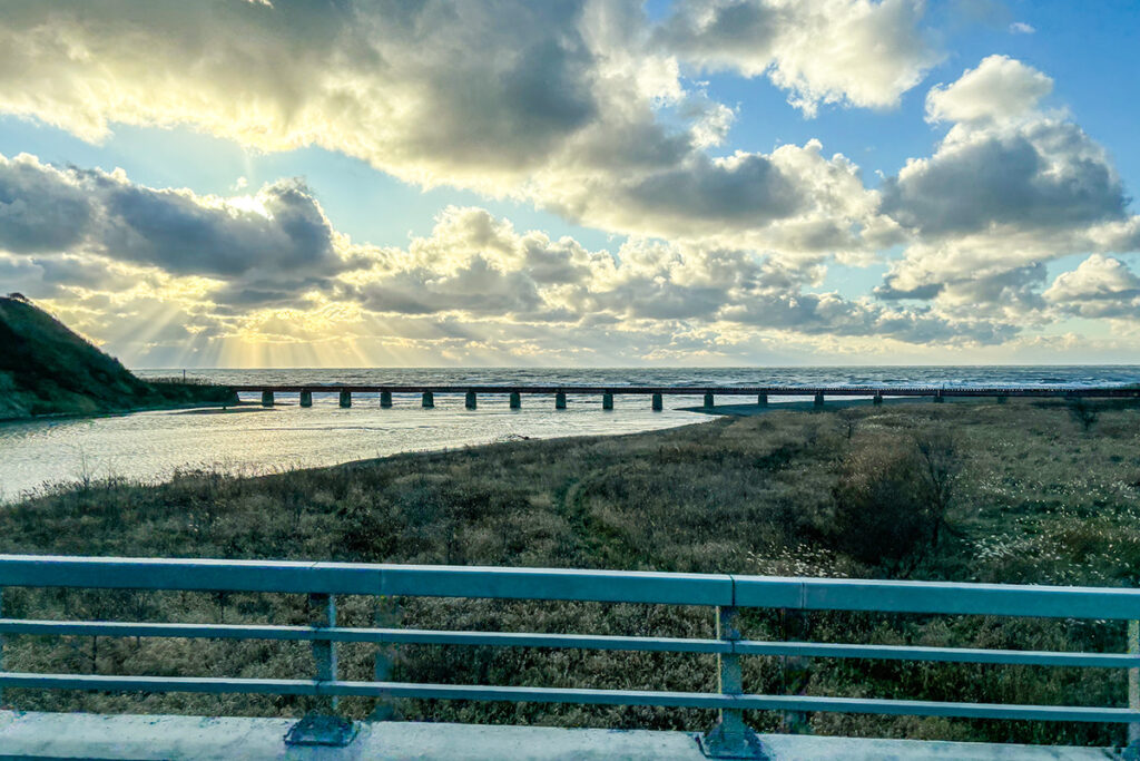 明るい時間帯ならこんな景色が盛りだくさん（2023年の様子）