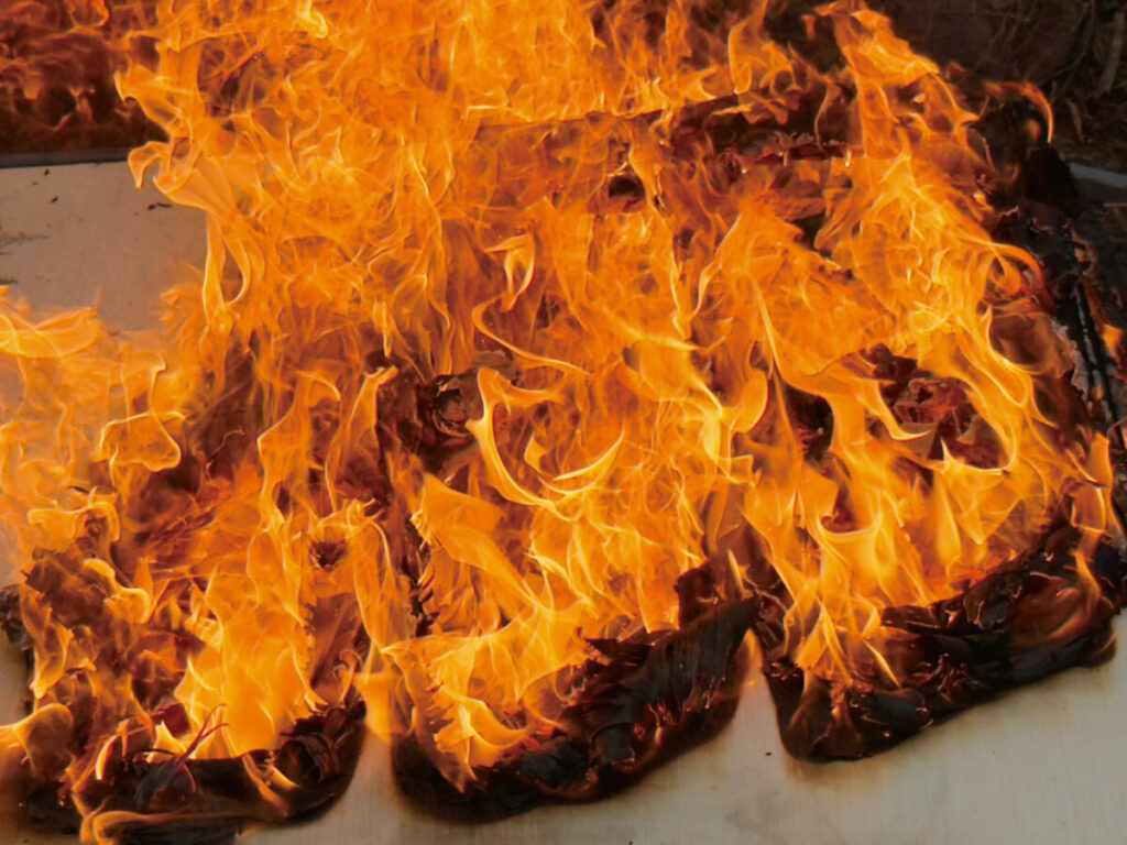 丙午はエネルギー的には燃え盛る炎といったところだ