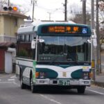 路線バスで行く辰水神社は干支もパワーもジャンボだったぜ!!