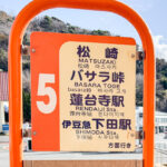 “峠の王者”の栄冠はどのバスに輝く?　伊豆半島の峠道を越える強力な5大バス路線!!