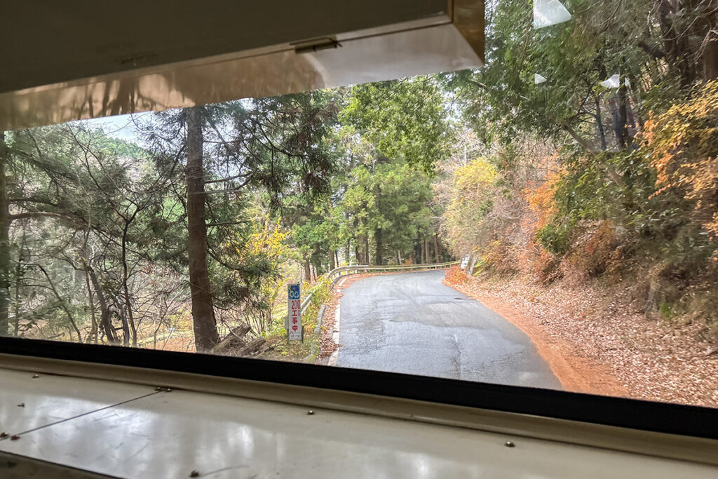 脇道に外れているのではなく、これがバスのメインルートなのだから驚き