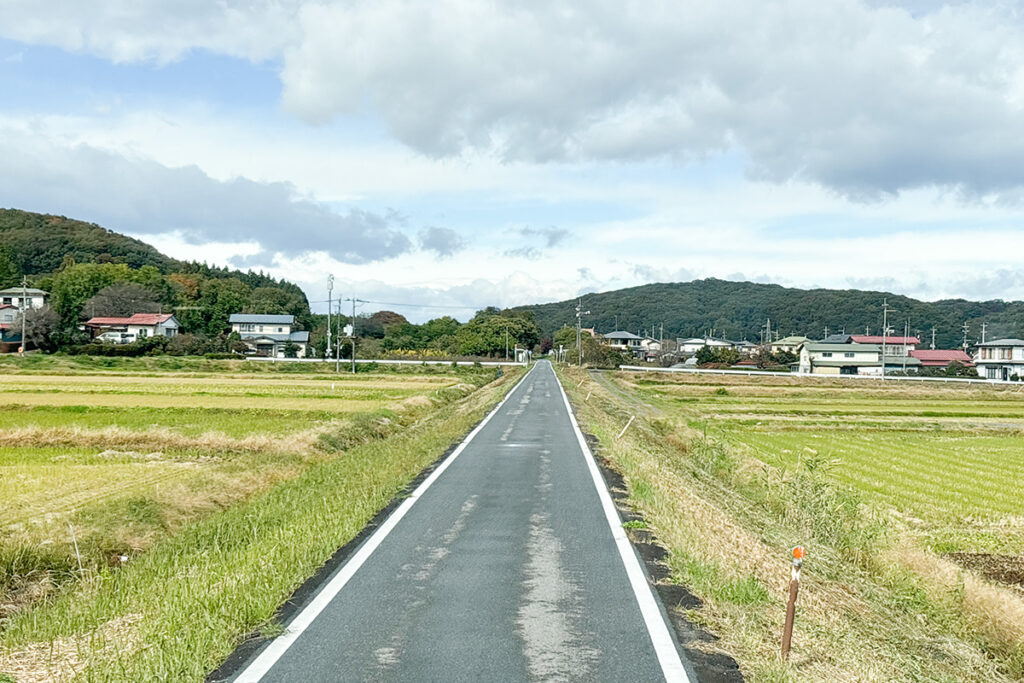 専用道を走行中。道幅から元々線路だった面影がうっすら感じられる