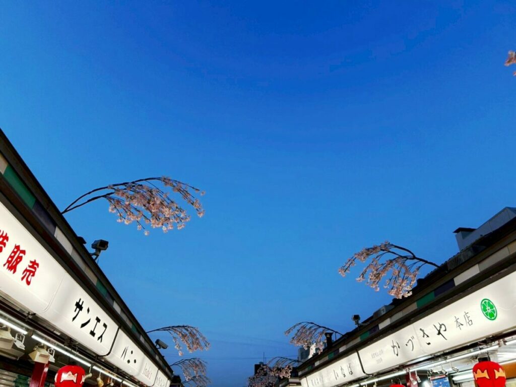 仲見世通りは横を見るだけではなく上にも何かある？