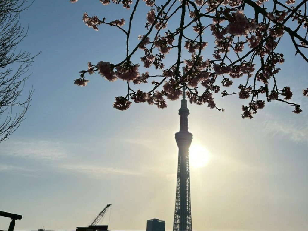 武蔵野國に引っ掛けるために急きょ634mにしたのは有名な話