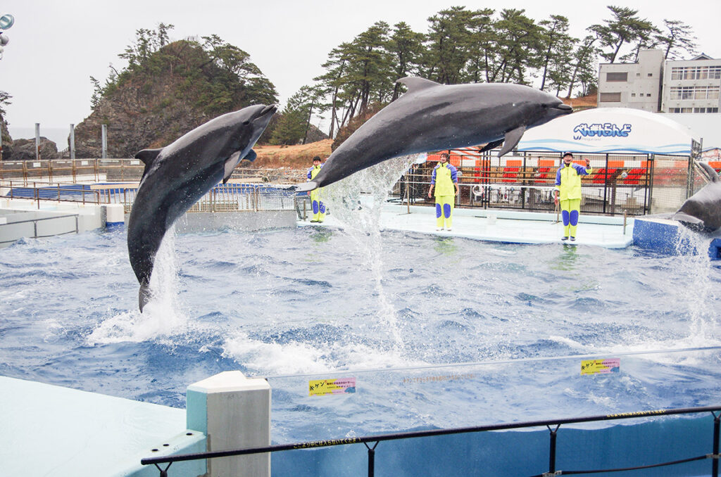 海洋生物は楽でいいよね