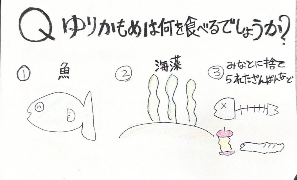 実際にキッズたちに出すクイズの例で正解は③