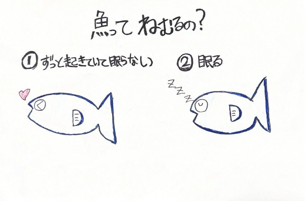 これは大人でも悩むクイズ？正解は②