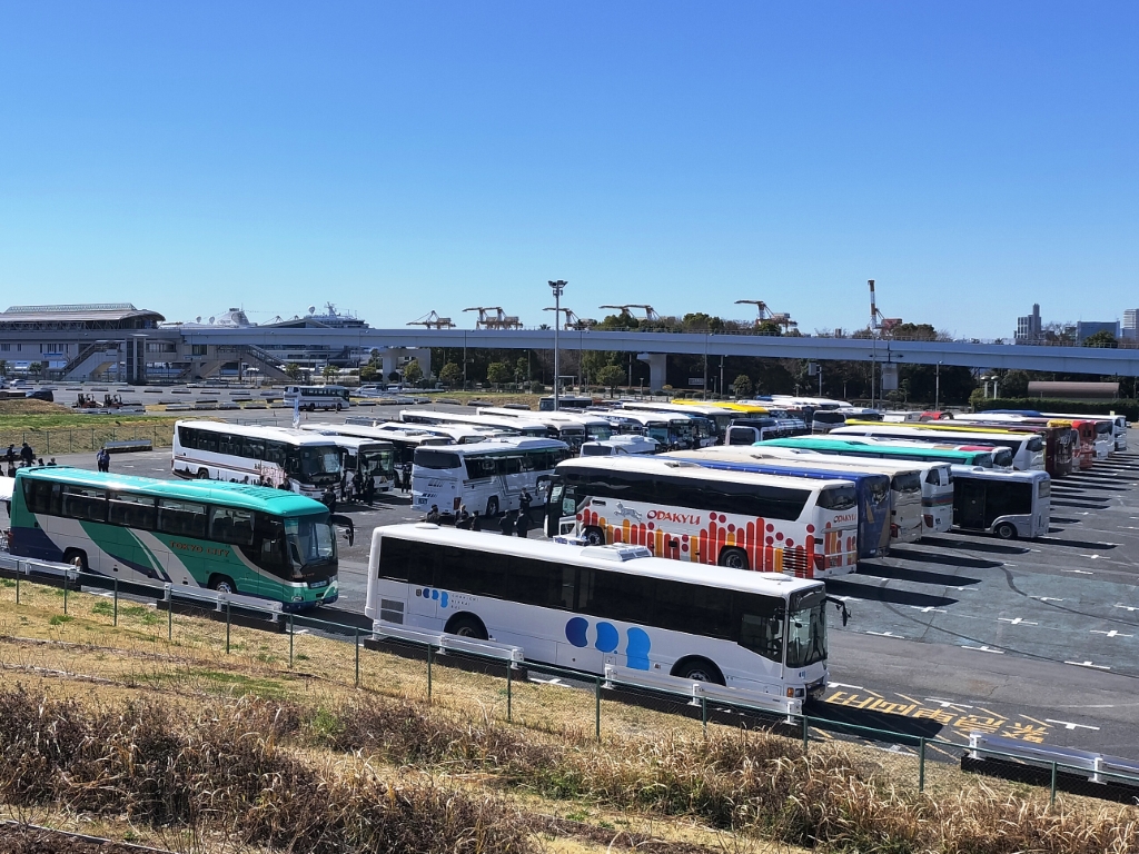 多くのバスと人に囲まれるて成長していく