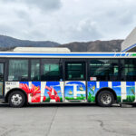 いすゞ勢が強めな感じ?　八丈島を走るバス・2026年の車両ラインナップがコレだぁ!!