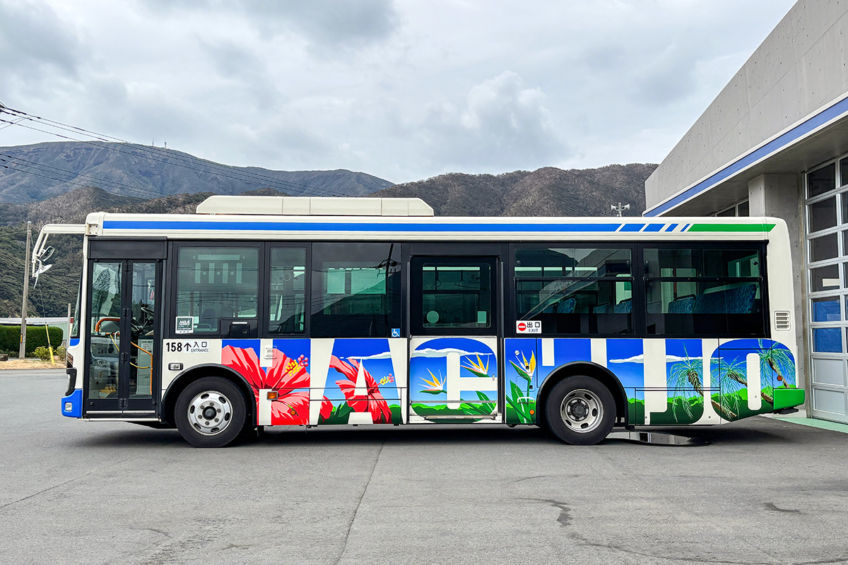 いすゞ勢が強めな感じ? 八丈島を走るバス・2026年の車両ラインナップが