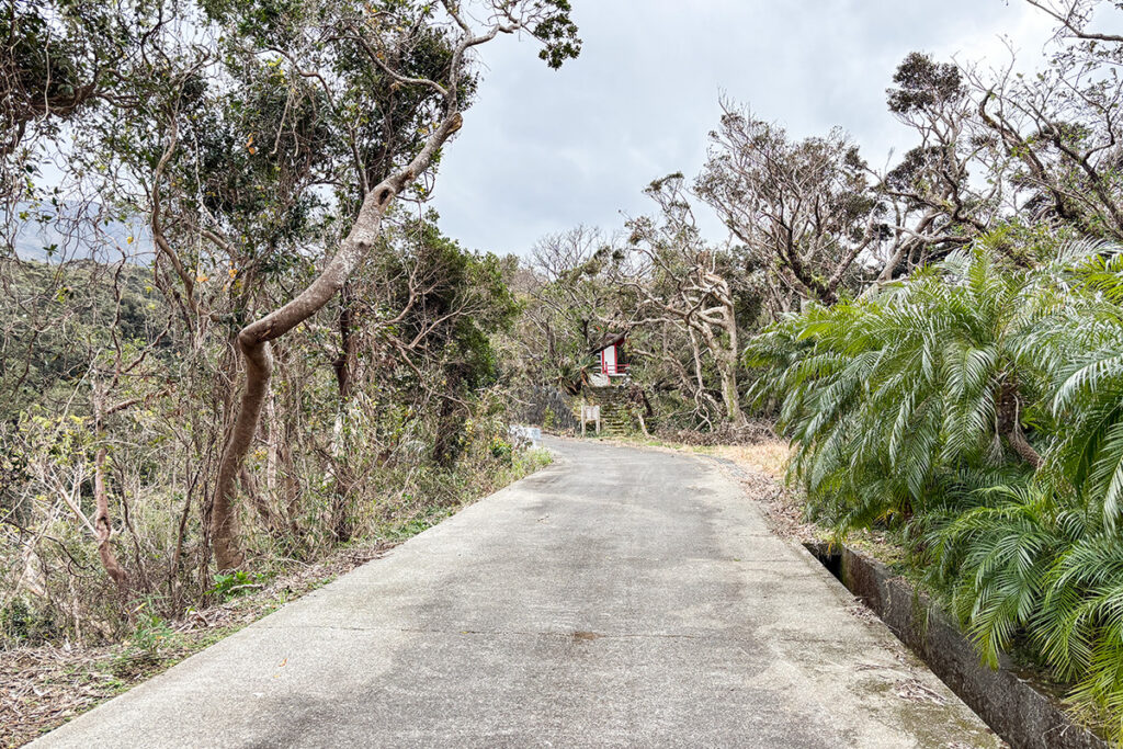 「尾端夜雨」を探して右往左往
