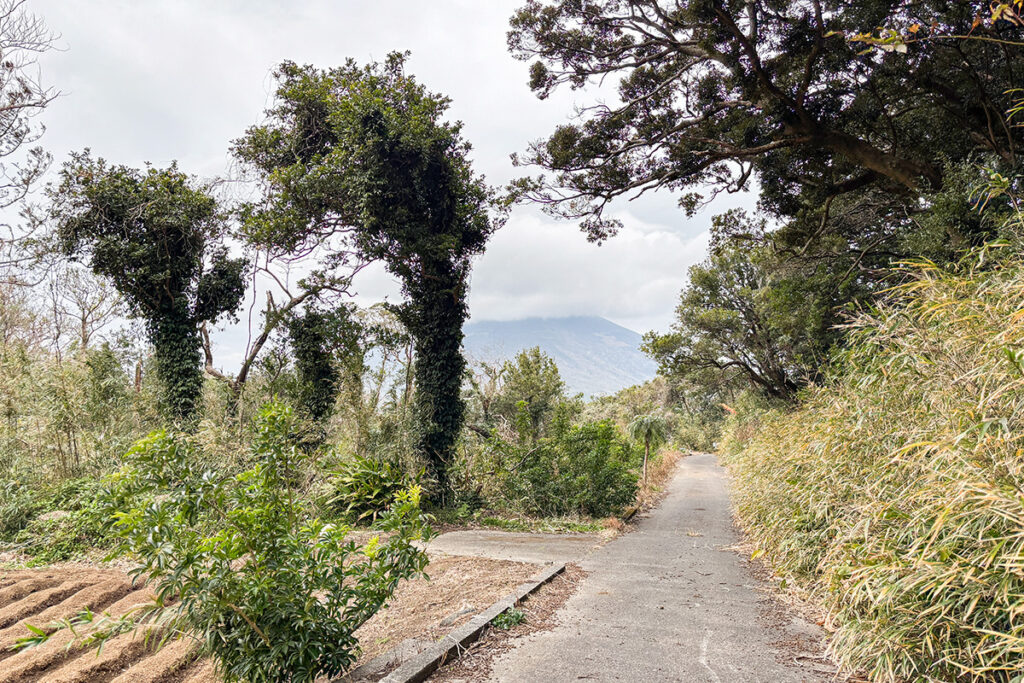 この先どう進むべきか…