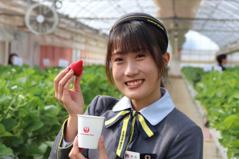 はとバス×JALグループのコラボツアー初便乗車レポート！　現役パイロットに質問殺到?　ファーストクラスのイチゴ食べ放題だ