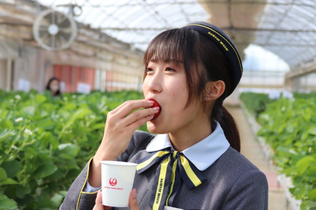 はとバスガイドもファーストクラスで出るかもしれないいちごに舌鼓を打つ