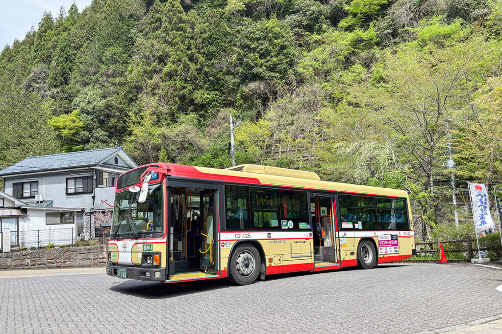 武蔵五日市〜青梅間の移動に、日帰り温泉施設の「つるつる温泉」を経由する手がある