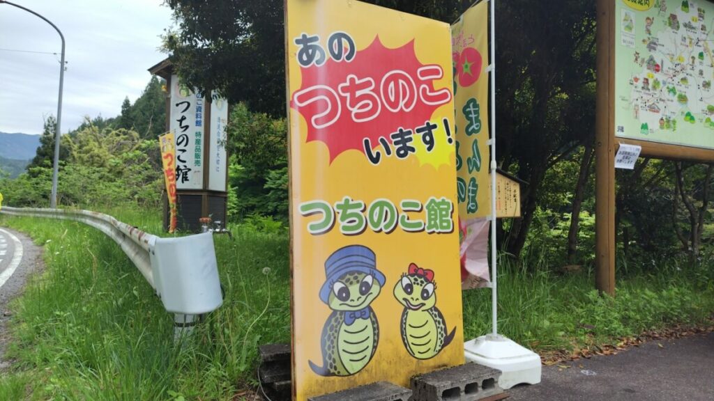 若干誇大気味だが当地ではこれくらいは許されるべき!