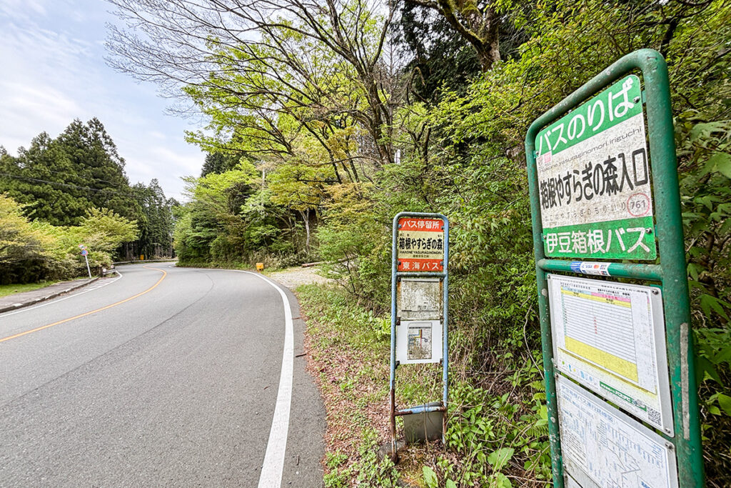 バス停の回りを偵察してみる
