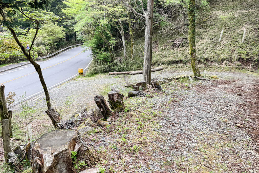 元来た道に戻ってこられた