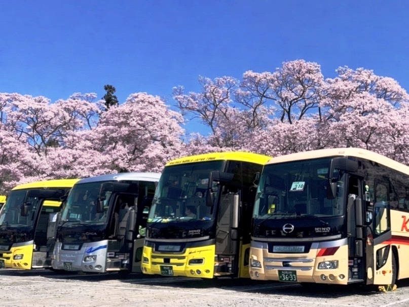フリーランスともなると実力派？