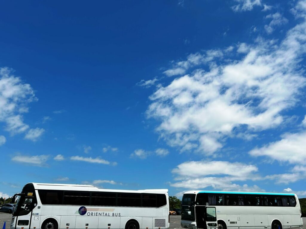 青い空…日本語の青色の範囲は元来とても広かったのは「青信号」という表現をみてもお分かりのように言葉は奥深いのだ