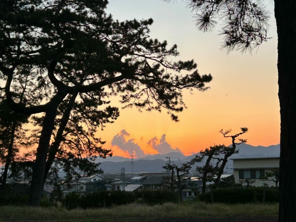姐さんは今の私を見てなんというだろうか？