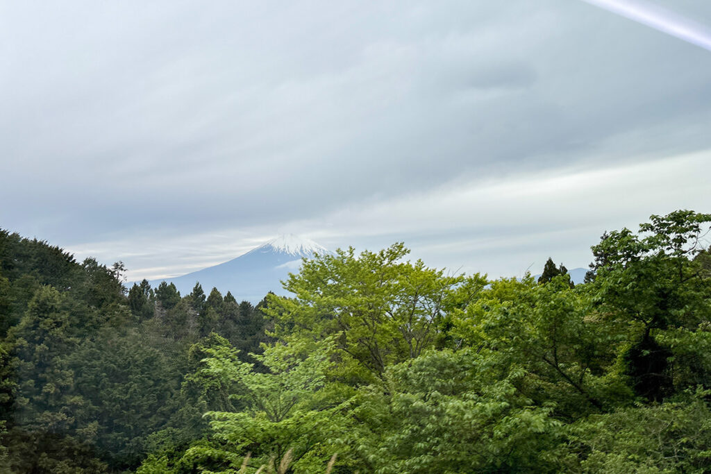 車窓から富士山が見えれば当たりの日