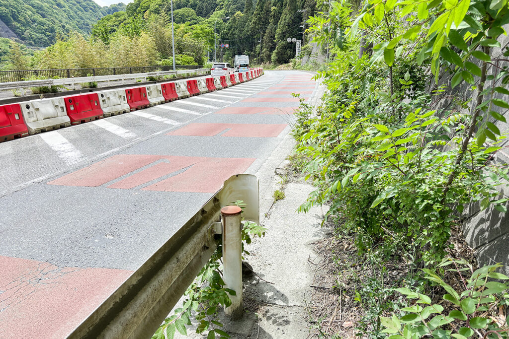 歩道をふさぐ自然の脅威