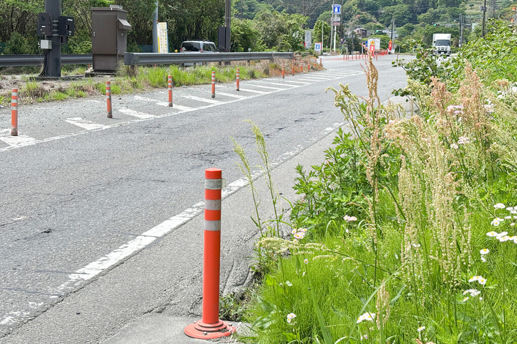 ニーヨンロク様の手荒な歓迎 in 静岡