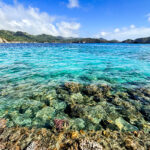 1,000km先の東京都「小笠原諸島」!!　ここへの行き方＋現地の交通手段ってどんなですか?