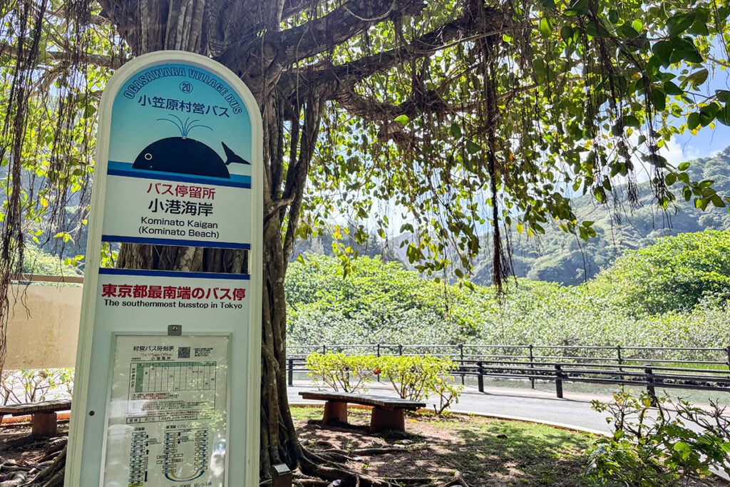 ファンタジックな景観に囲まれた小港海岸バス停