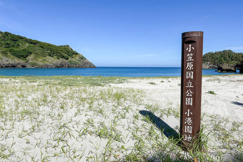 降り立った先に小港海岸が。深夜に来るとウミガメが卵を産みに現れることも!?