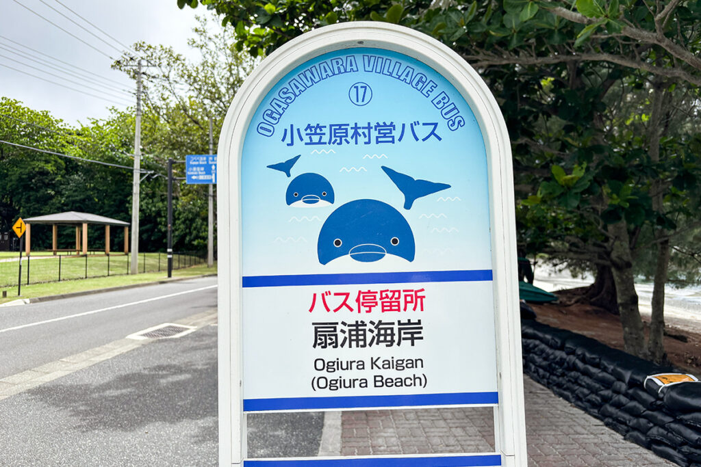 村営バスの通る代表的なビーチ最寄り