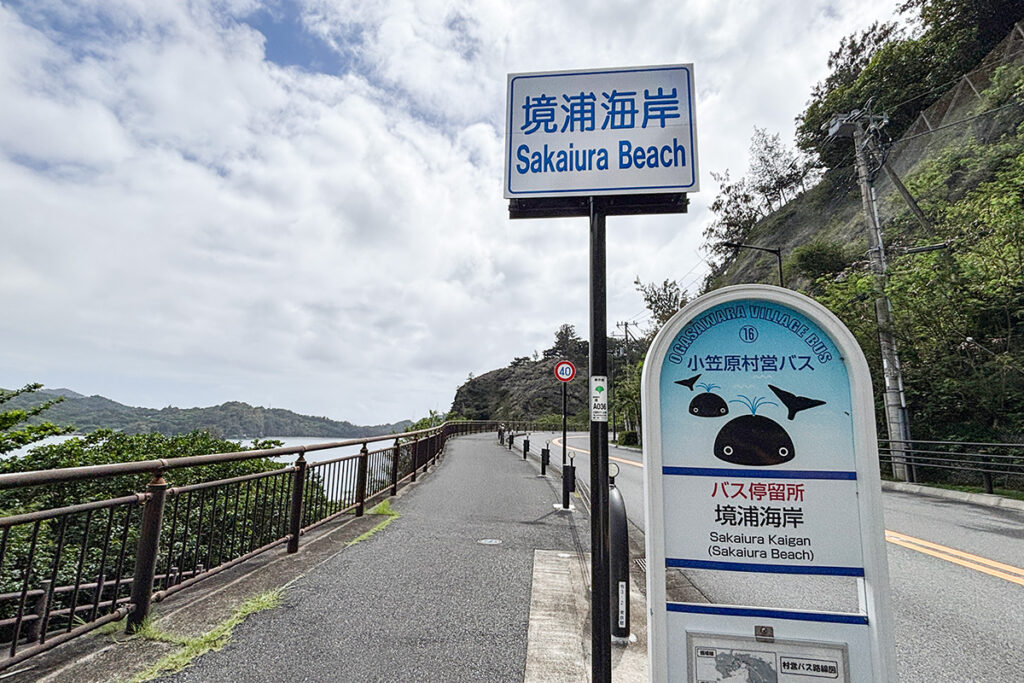 高架による山越え道の間に境浦海岸バス停がある