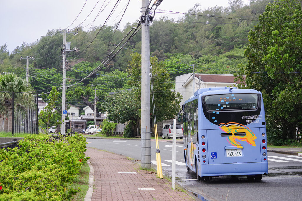 小笠原でバスを撮るならあの場所!?