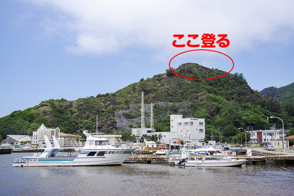 大神山公園のパノラマ展望台がこちら