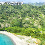 コメ粒大で抜群の充実度だと!?　小笠原で楽しめる“撮りバス”超スポット!!